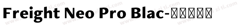 Freight Neo Pro Blac字体转换